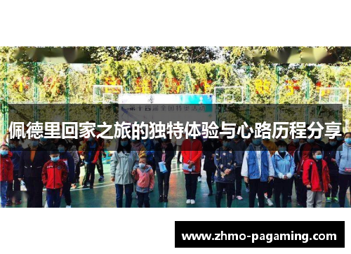 佩德里回家之旅的独特体验与心路历程分享