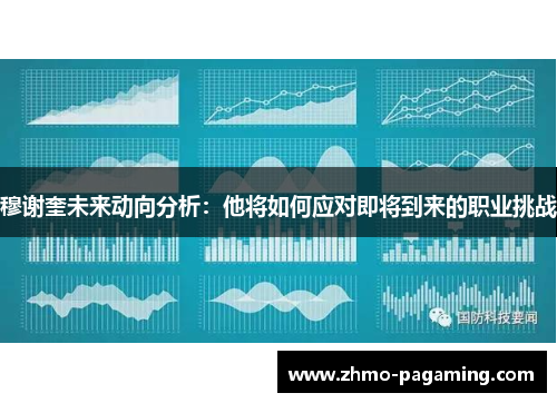 穆谢奎未来动向分析：他将如何应对即将到来的职业挑战