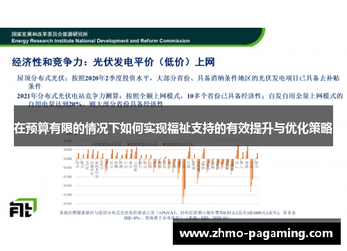 在预算有限的情况下如何实现福祉支持的有效提升与优化策略