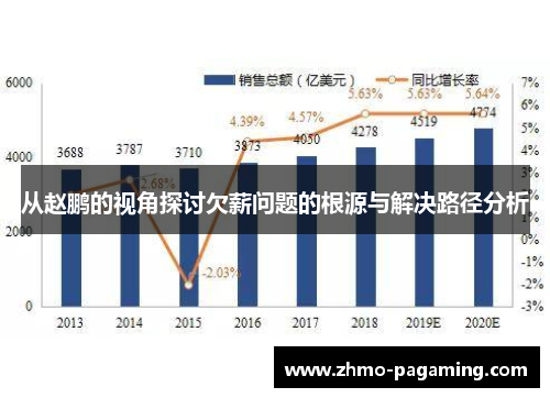 从赵鹏的视角探讨欠薪问题的根源与解决路径分析