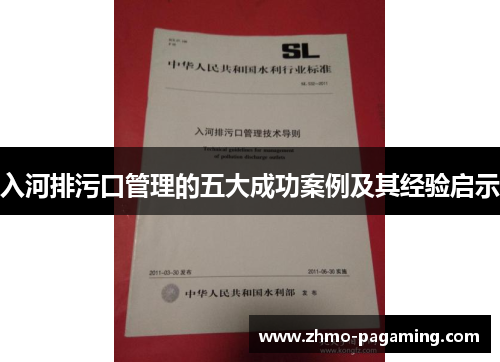 入河排污口管理的五大成功案例及其经验启示