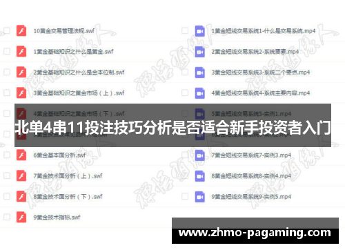 北单4串11投注技巧分析是否适合新手投资者入门