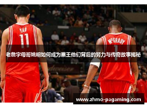 老詹字母哥姚明如何成为票王他们背后的努力与传奇故事揭秘