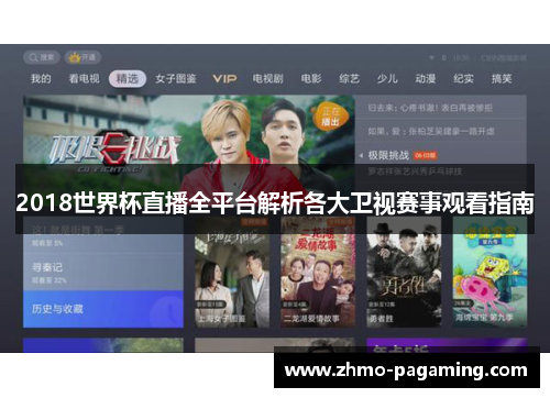 2018世界杯直播全平台解析各大卫视赛事观看指南