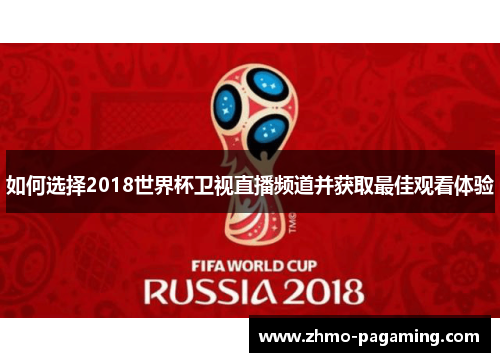 如何选择2018世界杯卫视直播频道并获取最佳观看体验