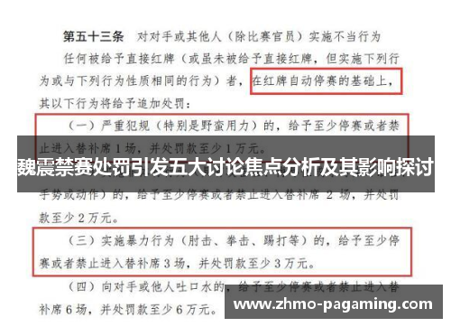 魏震禁赛处罚引发五大讨论焦点分析及其影响探讨