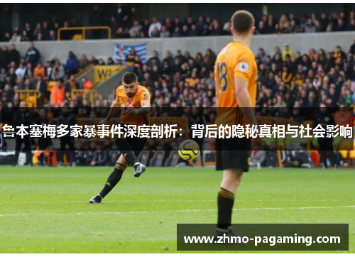 鲁本塞梅多家暴事件深度剖析:背后的隐秘真相与社会影响