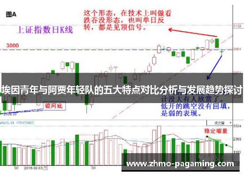 埃因青年与阿贾年轻队的五大特点对比分析与发展趋势探讨 埃因青年与阿贾年轻队的五大特点对比分析与发展趋势探讨