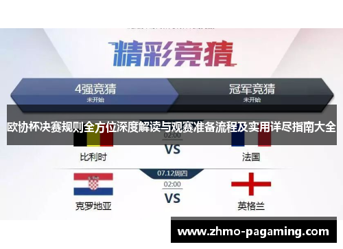 欧协杯决赛规则全方位深度解读与观赛准备流程及实用详尽指南大全