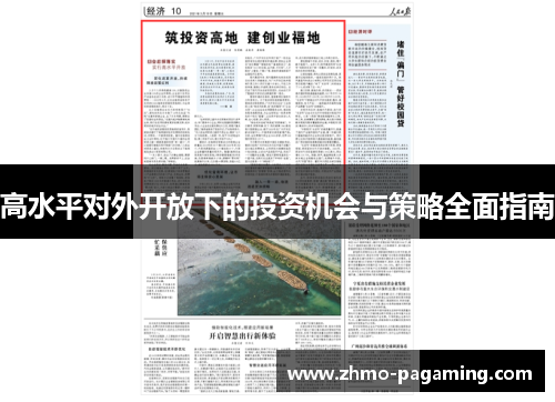 高水平对外开放下的投资机会与策略全面指南