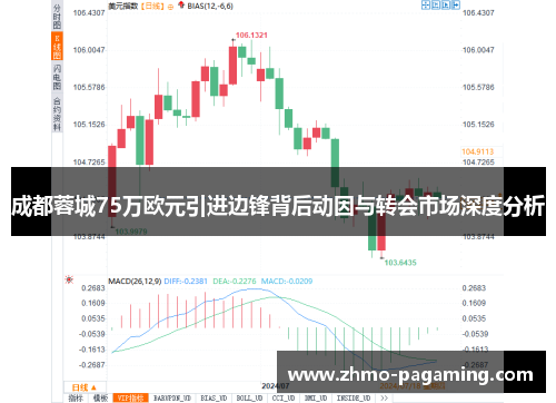 成都蓉城75万欧元引进边锋背后动因与转会市场深度分析