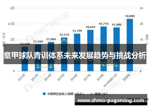 意甲球队青训体系未来发展趋势与挑战分析
