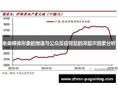 老詹媒体形象的塑造与公众反应背后的深层次因素分析